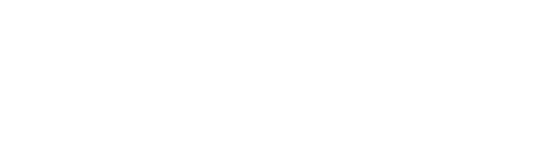hayna-logo-light
